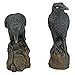 Design Toscano Mystic Night Raven Statues