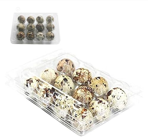 30 scatole per uova di quaglia, per uova di quaglia a griglia, scatole per uova di quaglia, scatole per uova, scatole per uova di quaglia in plastica, scatola trasparente per uova di quaglia