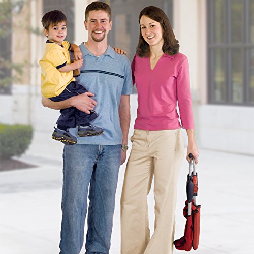 Chicco Caddy Hook-On Chair, Vapor #TOP4