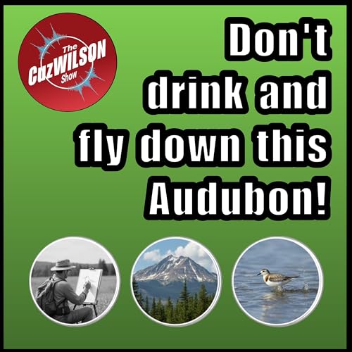 Don't drink and fly down this Audubon. | Ep.4