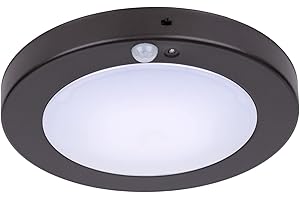 LIT-PaTH LED Outdoor Flush Mount Ceiling Light Dusk to Dawn