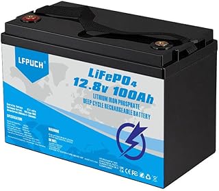 100Ah 12V LiFePO4 Battery Emergency Power Backup Rechargeable Lithium Iron Phosphate with 5000+ Deep Cycles and BMS Protection, Perfect for rv, Boat, Marine, Solar Panel System