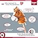 Knorrtoys 40100 - Steckenpferd Hip Hop, Large