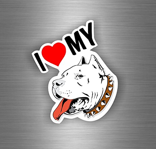 Akacha - Adesivo Tuning per Auto, Moto, Motivo: i