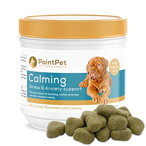 POINTPET Natural Stress and Anxiety Relief for Dogs, Soft Chewable Calming Aid - Helps with Separation Anxiety, Travel and Motion Sickness, Storms, Fireworks - Dog Anxiety Supplement, 60 Soft Chews