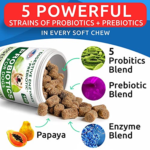 Dog Probiotics Chews + Glucosamine Bundle - Gas, Diarrhea, Allergy, Constipation, Upset Stomach Relief + Hip & Joint Care - Digestive Enzymes + Prebiotics + Chondroitin, Msm, Omega-3 - 300 Soft Chews #TOP4