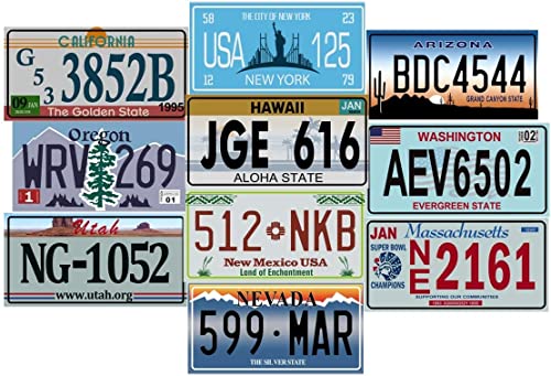 OPO 10 - Lot de 10 PLAQUES D' IMMATRICULATION de Voiture USA en métal - répliques de Vraies plaques américaines (V1)