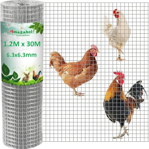 Amagabeli 1.2m X 30m Hasendraht Volierendraht 6.35mm 0.61mm Feinmaschig Wühlmausgitter Für Hochbeet Zaun Hühnerdraht Maschendrahtzaun Kaninchendraht Verzinkt Drahtgitter Feuerverzinkt