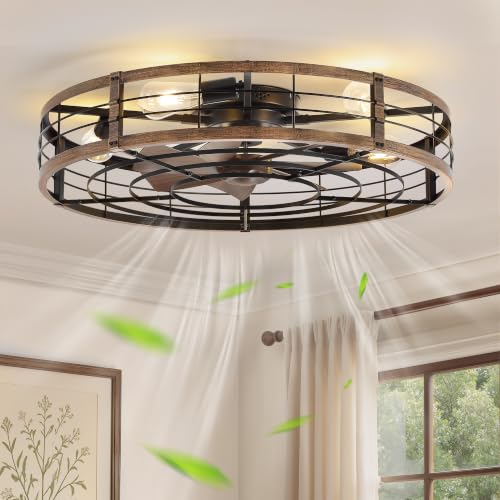 Image of LEDIARY 30 inch Caged Low Profile Ceiling Fan with Light and Remote Black Gold
