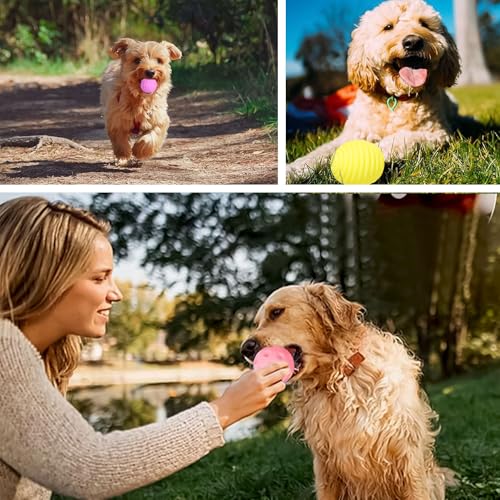 Favuit Hundeball Unzerstörbar, 6 Stück Hundespielzeug Ball Set Quietschend Dauerhaftes Jagdbälle Hunde Spielzeugbälle Schwimmfähig für Aggressive Kauer Kleine und Mittelgroße Hunde