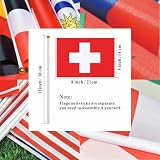 Ckexin 48 Countries Sticks Flag for 2026 World Cup, Small Mini Hand Held Flag Decorations for Football Events, Pub, Classroom, Home Party and Outdoor Sports Gathering