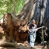 Whispers to Oblivion