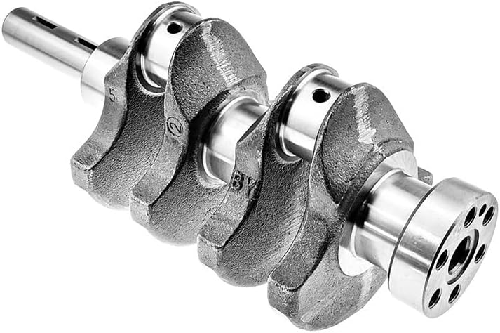 ホヘンベルギアLp✖️チャンティニー良株 ホヘンベルギアLp✖️チャンティニー良株 ホヘンメア LP ×チャン