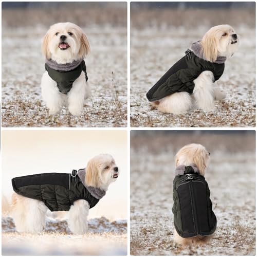 Savlot Wärme hundemantel Winddicht hundejacke Reflektierend hundemantel für kleine Hunde Hundemantel Grosse Hunde Mit Reißverschlussl Mit Reißverschluss Grün M