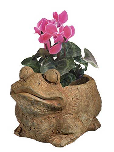 GARDENGOODZ 9/3462R/1 Frog Planter, Large, Rust