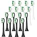 QLEBAO Ersatzbürsten Kompatibel mit Philips Sonicare Elektrische Zahnbürste, Aufsteckbürste für Philips Sonicare Diamondclean Bürste, 16er Pack (8er Schwarz and 8er Weiß)