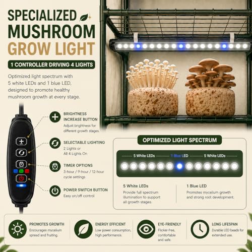 LIGNAKAUVI Martha Mushroom Grow Tent