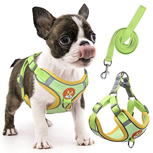 Rennaio Dog Harness No Pull, Adjustable Puppy Harness With 2 Leash Clips, Ultra Comfort Padded Dog Vest Harness, Reflective Dog Harness And Leash Set For Small And Medium Dogs (Green, S) #TOP2