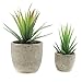 Produktbild Künstliche Velener-Mini-Deko-Pflanzen - Aloe mit Töpfen (Grün, Set von 2)