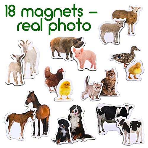 Magdum 18 BABY UND MUTTI BAUERNHOFTIERE Magnete Kinder für magnettafel - Magnet spielzeug kinder -Kühlschrankmagnete Kinder -Kühlschrank Magnete set Kinder -Spielzeug ab 3 jahre -Lernspiele ab 3 jahre