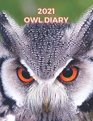 owl diary 2021: 2021 owl diary, 2021 owl calendar, 2021 owl planner, one a4 page is one day, persona