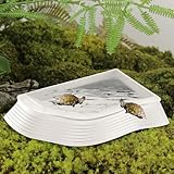 Schildkröten Wasserbecken, Schildkröten Wasserschale, Rutschfeste Badewanne, Reptilien-Badebecken, Schildkröten-Badeschale Für Nahrung Und Wasser, Sichere Fütterung (Weiß, 37.2*29.5*4.7cm)