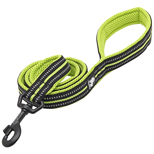 IKENOKOI犬用リード 3M反射素材 滑り止め 頑丈 小型犬 中型犬 大型犬用 お出かけ お散歩(グリーン 2*200cm)