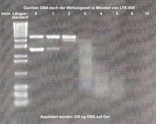 BIODELTA Giardien Spray - Giardien Wischkonzentrat für Hund, Katze & co - Haustier Hygiene Spray - Giardien Desinfektionsmittel gegen Viren Bakterien & Pilze - effektiver Geruchsentferner (2L)