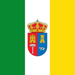 magFlags Bandera Large Municipal Bandera Cuadrada de Color Verde | 1.35m² | 120x120cm