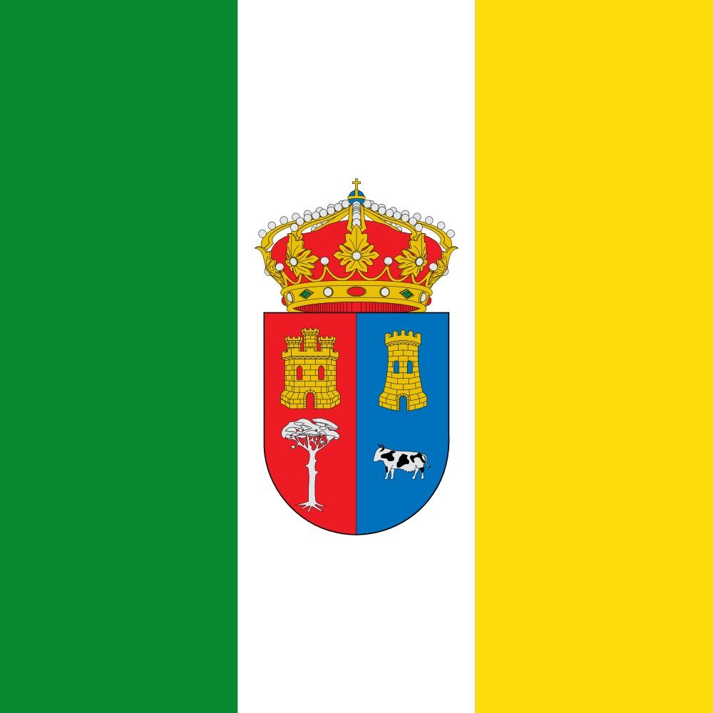 Drapeau de Navahondilla grand format carré pour municipalité