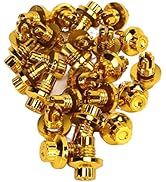 KIMISS Jant Perçinleri, 25 Adet Jant Perçin Altın ABS Jant Dudağı Perçinleri AH Jant Kapakları için Somunlar...