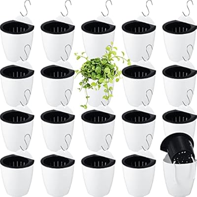 20 Sets 5 Inch Self Watering Hanging Planter White Lazy Flower Pots Plastic Wall Planters Propagation Window Wall Mount Planter with Hooks and Absorbent Cotton Ropes for Garden Indoor Succulent Plants