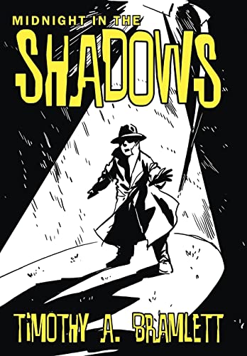 Midnight in the Shadows view 2