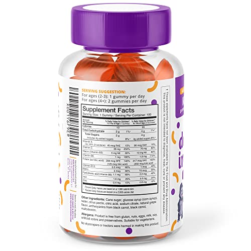 Kids Daily Iron+ Gummies By Squiggles 100Ct. | All-Natural, Low Sugar, And Super Yummy | Daily Dose Of Iron + Boost Of Vitamins And Minerals. #TOP1