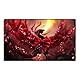 Neue Mlikemat Playmat Akiza Izinski Schwarzer Rosendrache TCG CCG Sammelkartenspielmatte Keine Zonen + Gratis Tasche (ZD014-99-K-No Zones)