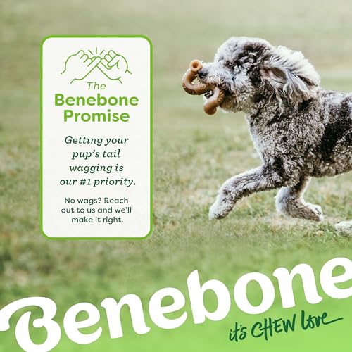 Image of Benebone Tiny 2-Pack, Tripe Bone Durable Dog Chew Toy for Aggressive Chewers, Real Tripe, Made in USA