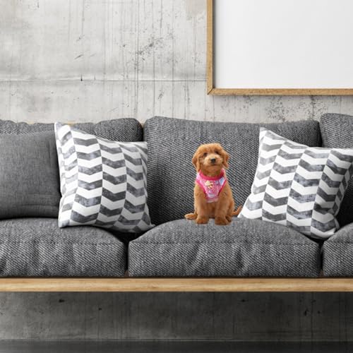 Ropa para perro cachorro con diseño de conejo talla XXS miniatura 5
