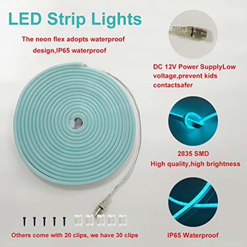 Image of Waterproof 16.4ft LED Neon Strip Light, Lake Blue, No 3M Tape, Dimmable, 12V