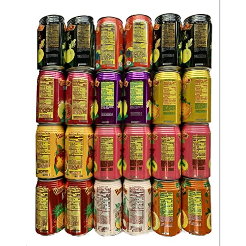 Hawaiian Sun Premium Tropical Juice Drink Party Bundle of 10 Assorted Flavors (24 Cans Total)