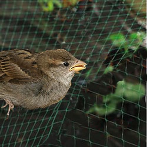 Riegolux 601520 Filet Anti-Oiseaux 4 x 5 m – vue 7