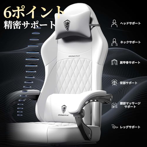 Dowinx ゲーミングチェア LS-6650A14A の商品画像 2