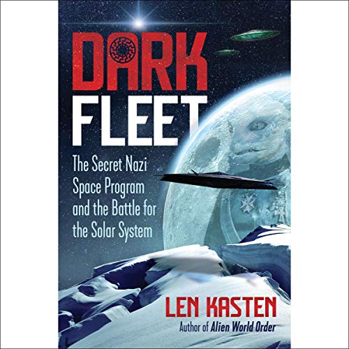 Cover art for Dark Fleet