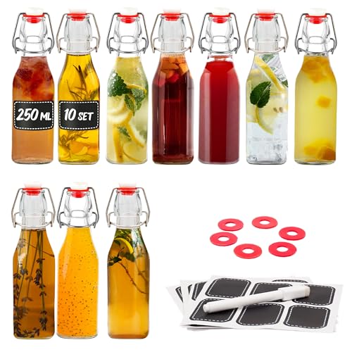 Praknu 10er Set Glasflaschen 250ml Bügelverschluss Eckig - Bügelflaschen Zum Befüllen - inkl...