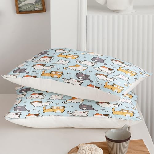 Image of QOOMO Cartoon Cat Kids Comforter Set, Cute Animals Print Bedding Set Twin Size for Room Decoration, Blue Soft Lightweight Bed Set All Season,1 Comforter Set 2 Pillowcases