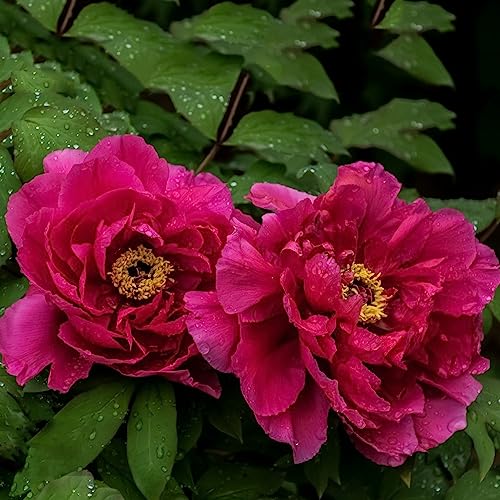 Kit Piegatubi Per Rame 1/4 E 3/8 - Per Condizionatori E Impianti Di Refrigerazione - Foto 5