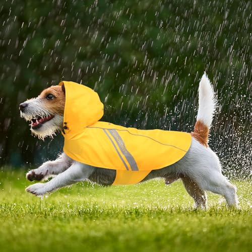 VIVAGLORY Wetoff Hunderegenmantel, Regenmantel Hund für Winter, Hunderegenjacke, Wasserdicht & Reflektierend Gefütterter Regenschutz, XL, Gelb