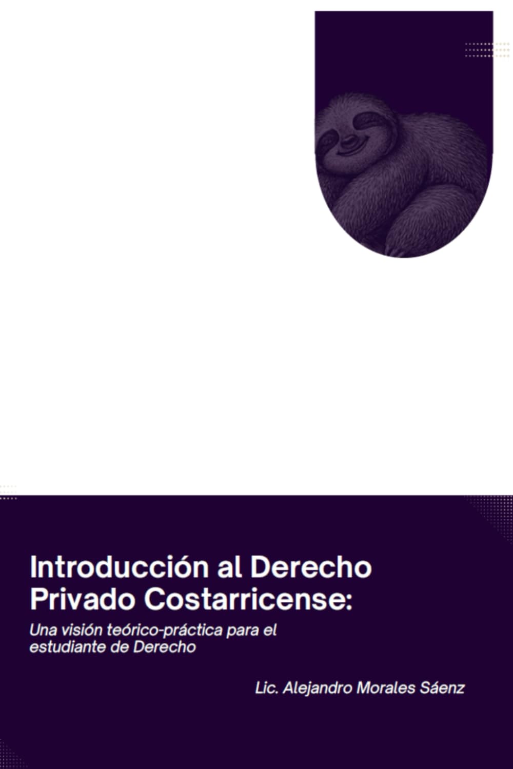 Introducción al Derecho Privado Costarricense: Una visión teórico-práctica para el estudiante de Derecho (Colección Praxis Jurídica)