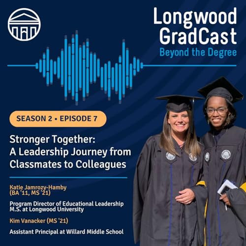 Page de couverture de Stronger Together: A Leadership Journey from Classmates to Collegues