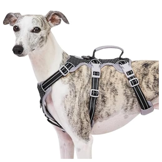 Huntboo Escape Proof Dog Harness, No Pull Reflective Harness with Lift Handle, Adjustable Pet Vest with Front and Back Leash Clips for Small Medium Large Dogs Walking Hiking Training (Black,L)