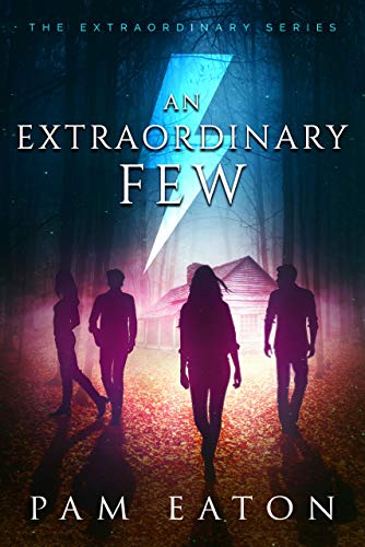 An Extraordinary Few (The Extraordinary Series Book 1)